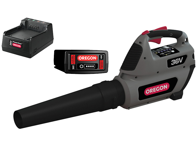   OREGON BL300-A6